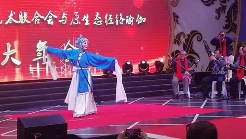 呼市民間文藝團(tuán)隊(duì)才藝展示迎新年 文化藝術(shù)交流活動